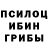 Галлюциногенные грибы GOLDEN TEACHER Spamwand