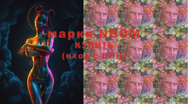 индика Алексин