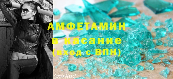индика Алексин