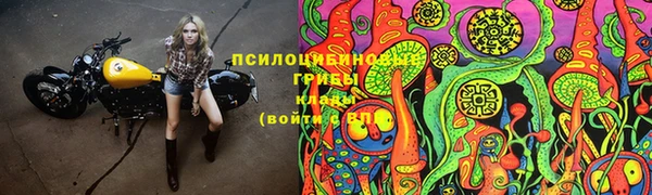 дживик Алзамай