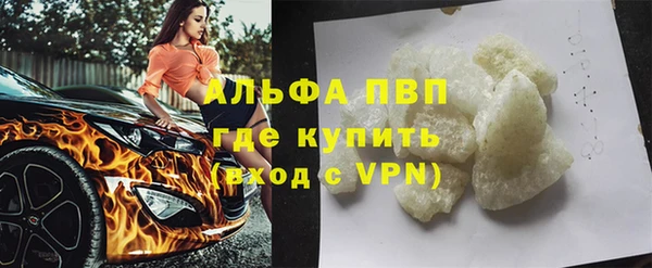 индика Алексин