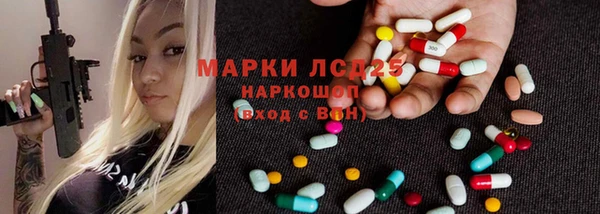 индика Алексин
