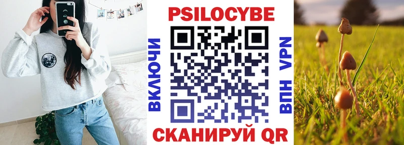 Галлюциногенные грибы мухоморы  kraken ONION  Троицк  где найти наркотики 